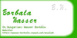 borbala wasser business card
